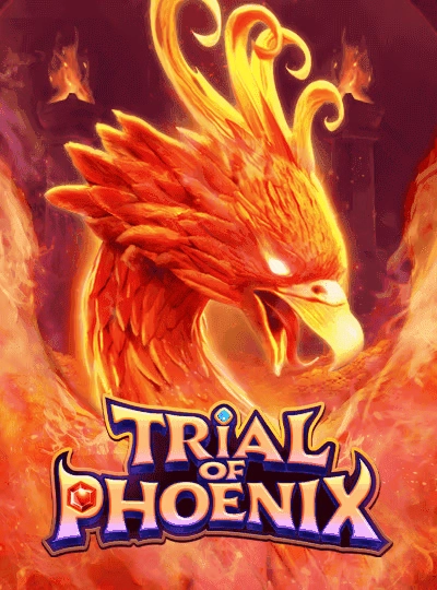 Book of Dead slot cover from Play'n GO